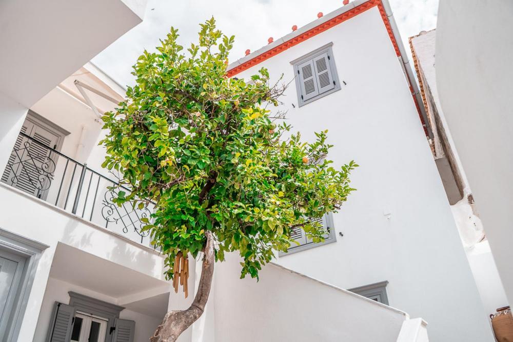 Lemon Tree - Hydra Dream Houses Екстериор снимка